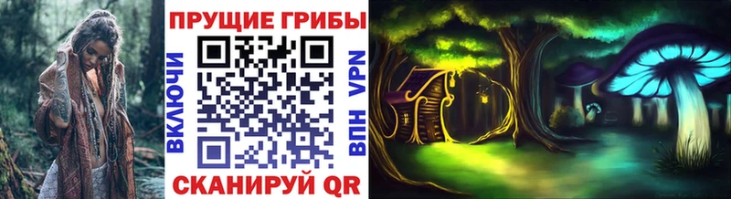 Псилоцибиновые грибы прущие грибы  Купить где  Петрозаводск 